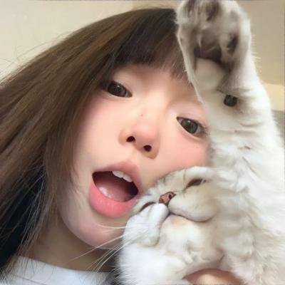 白头盔