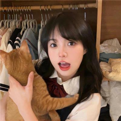 四叠半神话大系